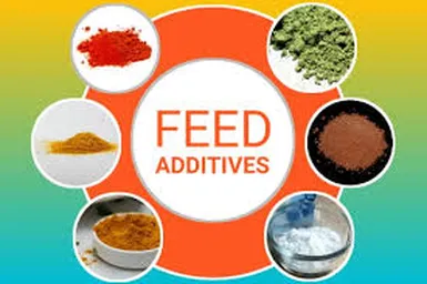 Fodder, Feed Additives